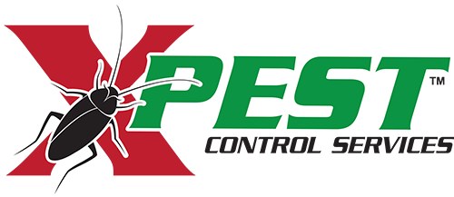 Pest Control Solutions